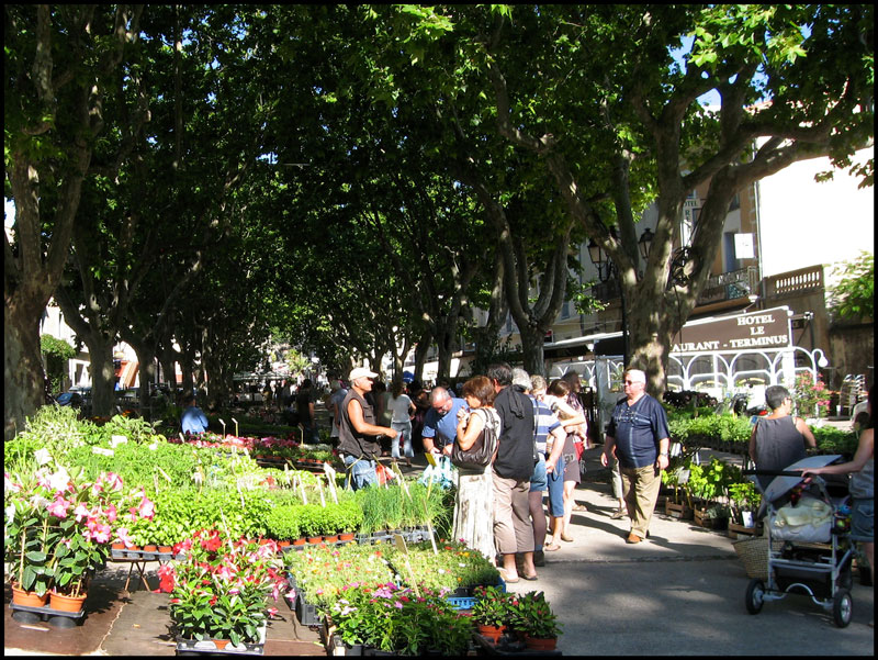 marché fleurs clermont