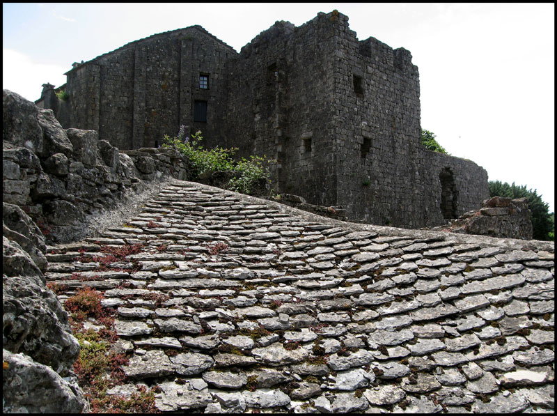 chateau et toit de lauzes