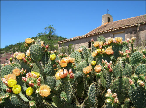 Chapelle & figues