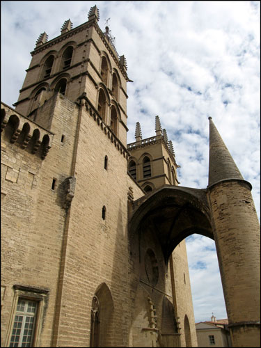 Cathédrale