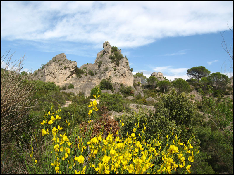 cirque de Mourèze au printemps