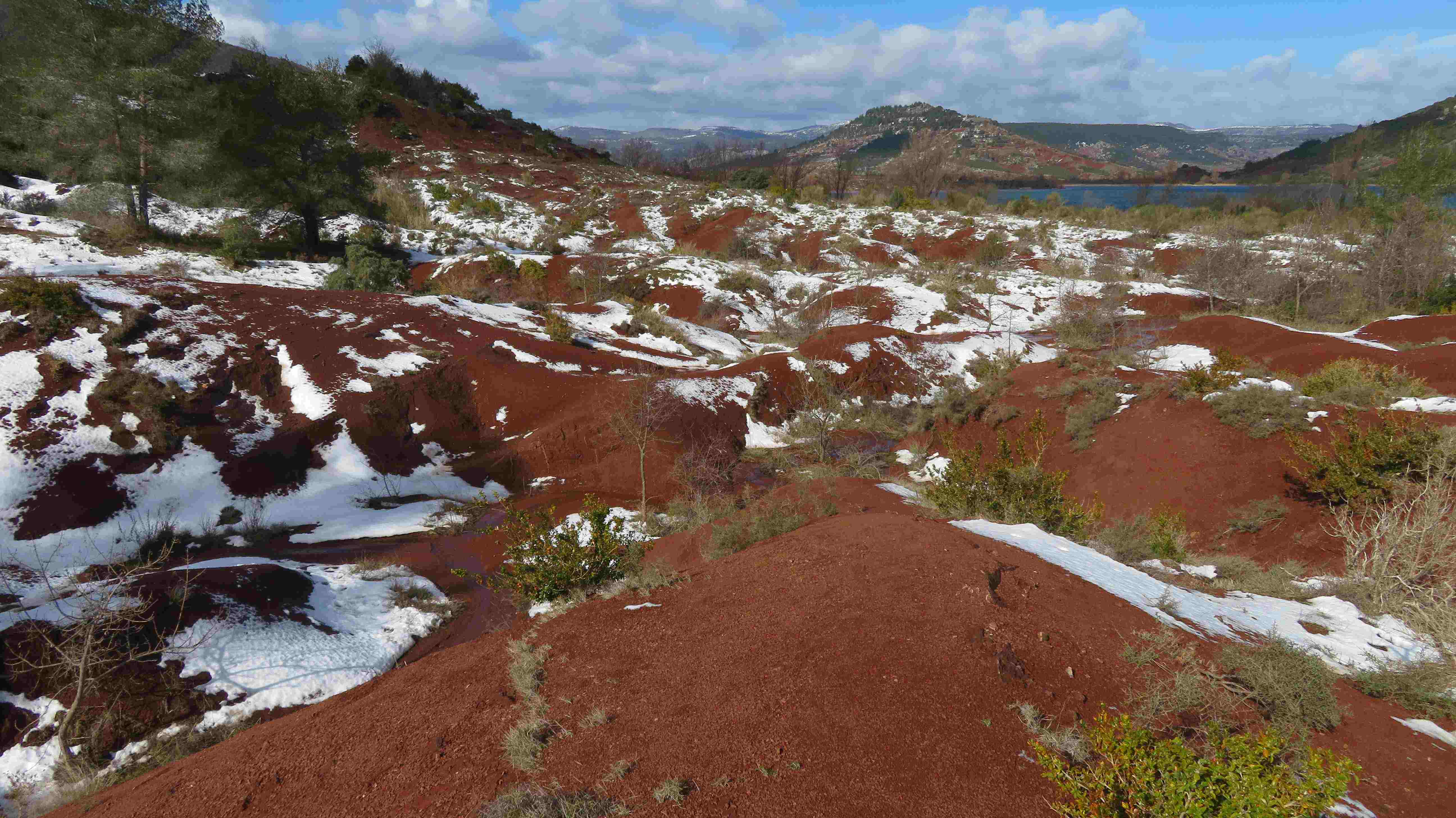 Neige sur la ruffe du Salagou