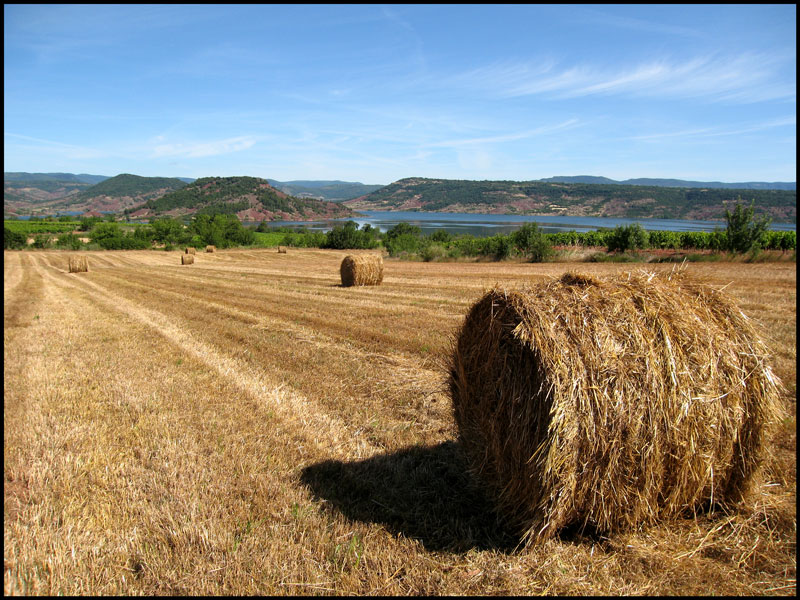 Salagou et foins