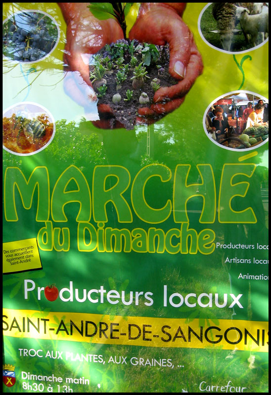 Affiche marché producteurs St André de Sangonis