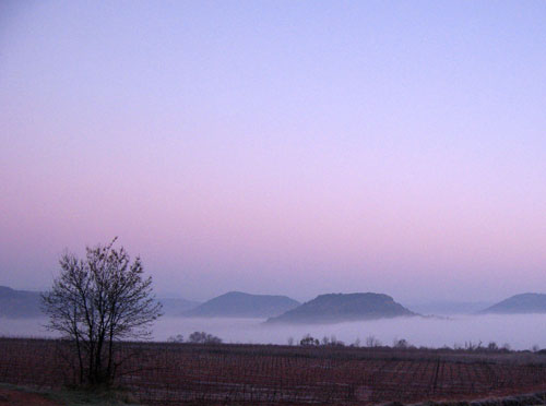 brume du matin