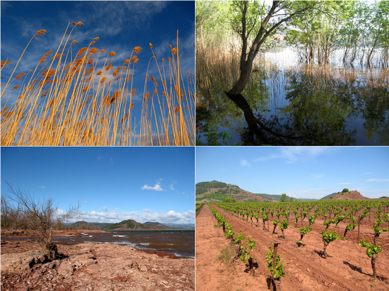 automne au lac